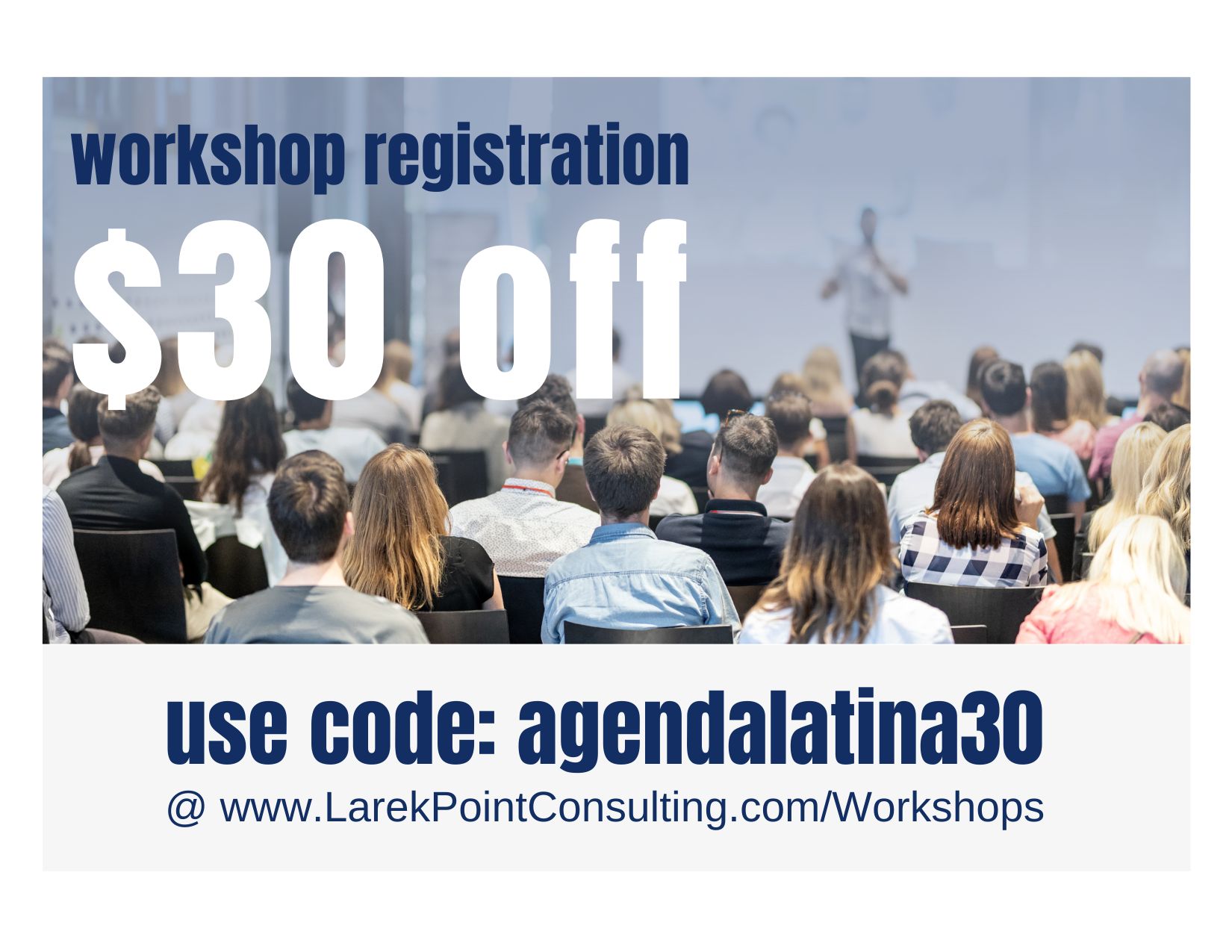 larek point consulting - business workshop code