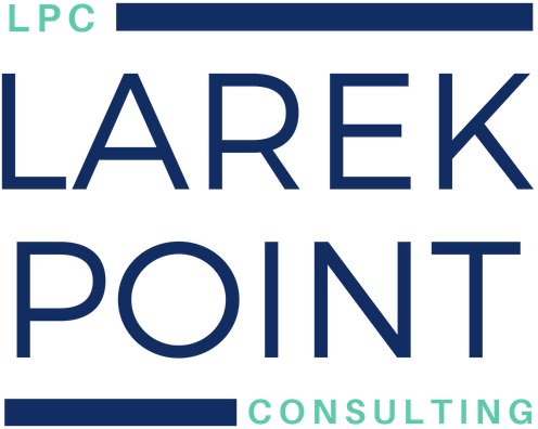 larek point consulting
